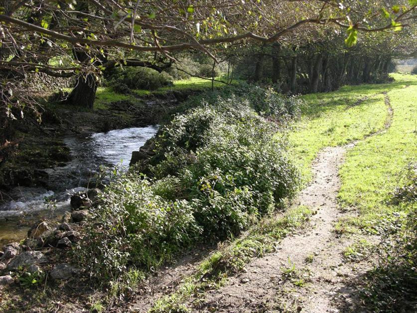 Quinta De Luna Villa Valencia de Alcantara Luaran gambar